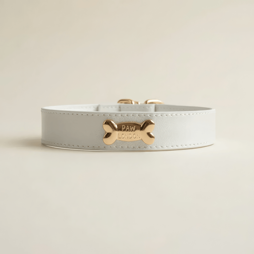 Snow Dog Collar - PAW LONDON