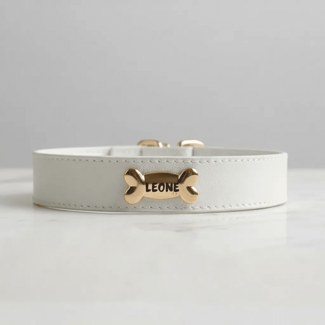 Snow Dog Collar - PAW LONDON