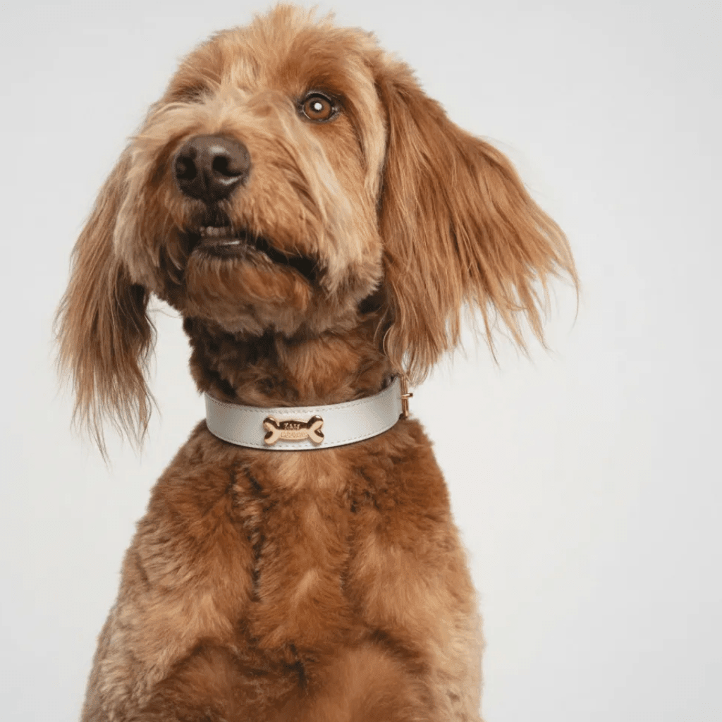 Snow Dog Collar - PAW LONDON