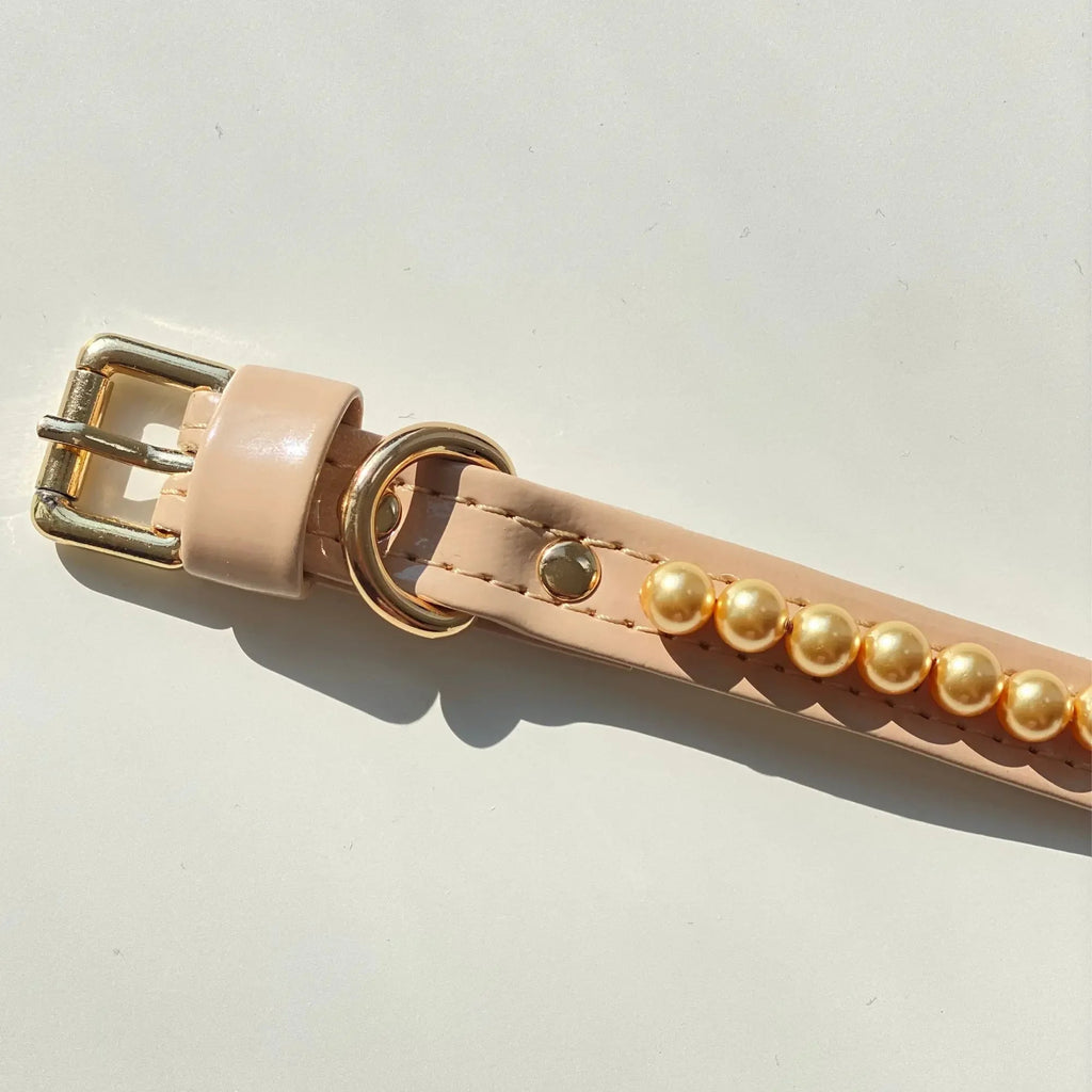 Soleil Gold Swarovski Pearl Cappuccino Dog Collar 🌞 - PAW LONDON