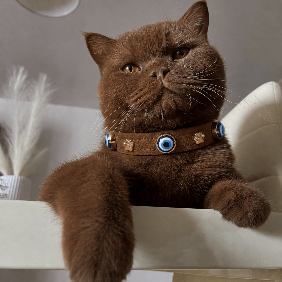 Suede Evil Eye Cat Collar | Cinnamon 🧿 - PAW LONDON