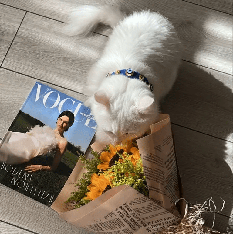 Suede Evil Eye Cat Collar | Royal Blue 🧿 - PAW LONDON