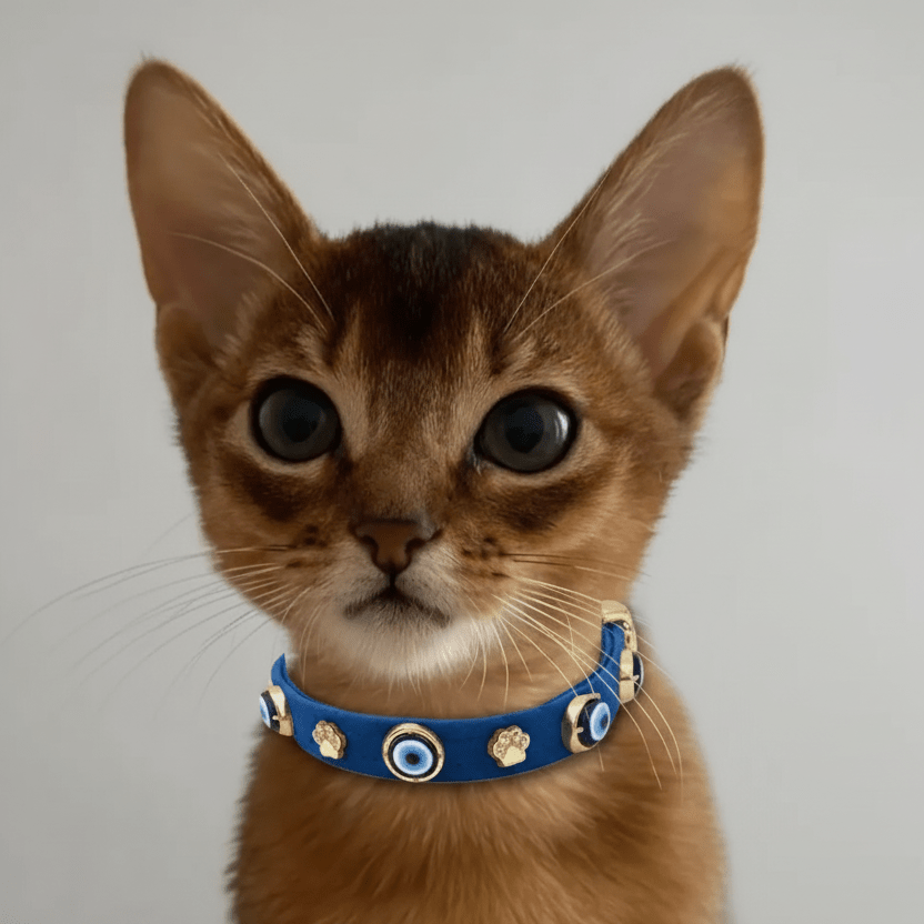 Suede Evil Eye Cat Collar | Royal Blue 🧿 - PAW LONDON