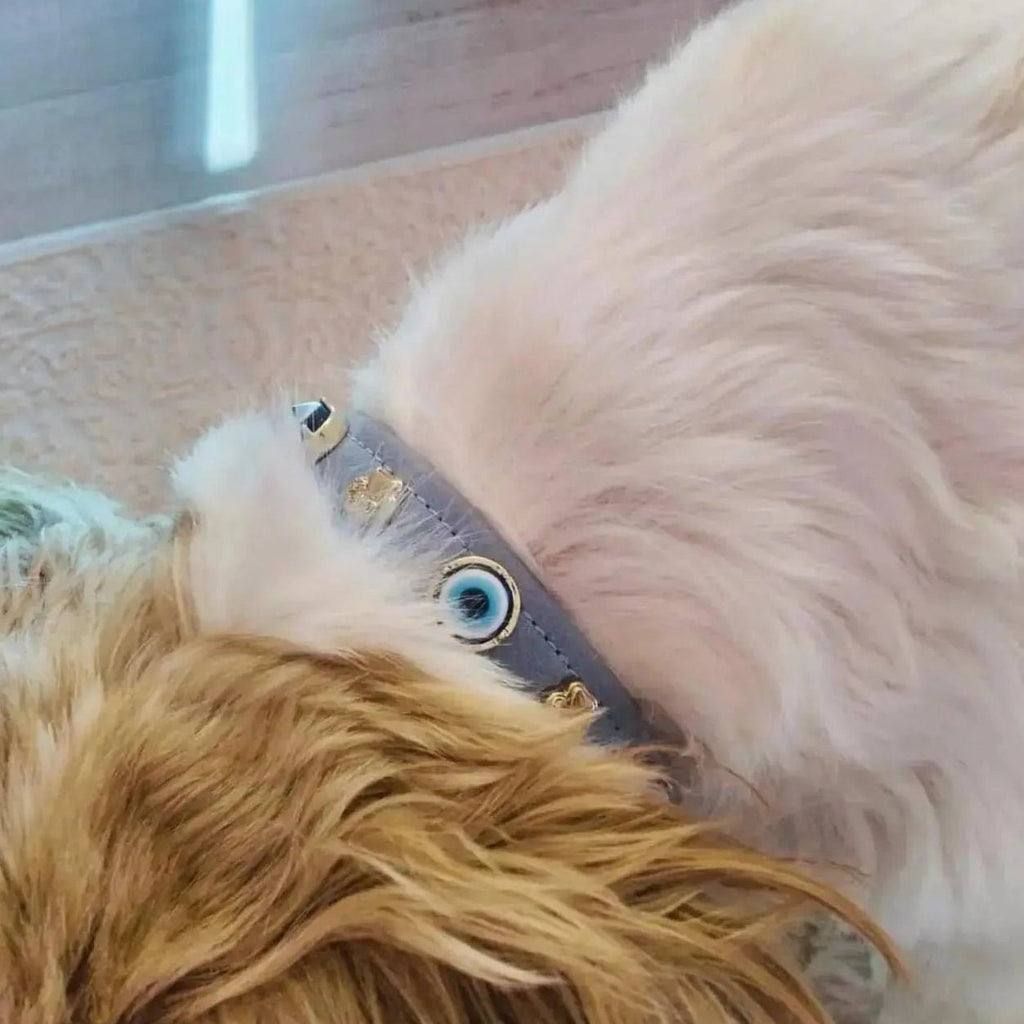 Suede Evil Eye Dog Collar | Azure Blue ⚜️ - PAW LONDON