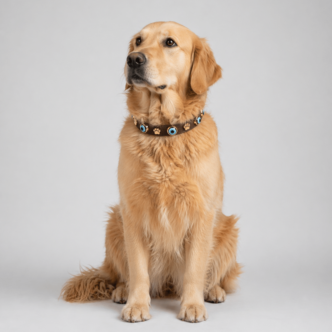 Suede Evil Eye Dog Collar | Bitter Chocolate 🍫 - PAW LONDON