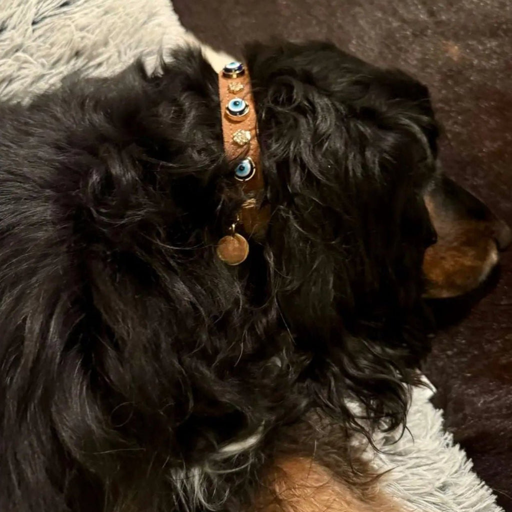 Suede Evil Eye Dog Collar | Cinnamon ⚜️ - PAW LONDON