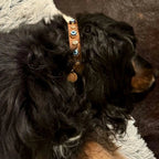 Suede Evil Eye Dog Collar | Cinnamon ⚜️ - PAW LONDON