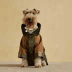 Suede Evil Eye Dog Collar | Cinnamon ⚜️ - PAW LONDON