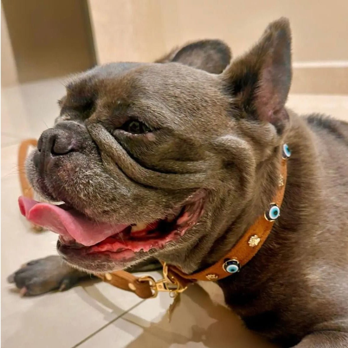 Suede Evil Eye Dog Collar | Cinnamon ⚜️ - PAW LONDON