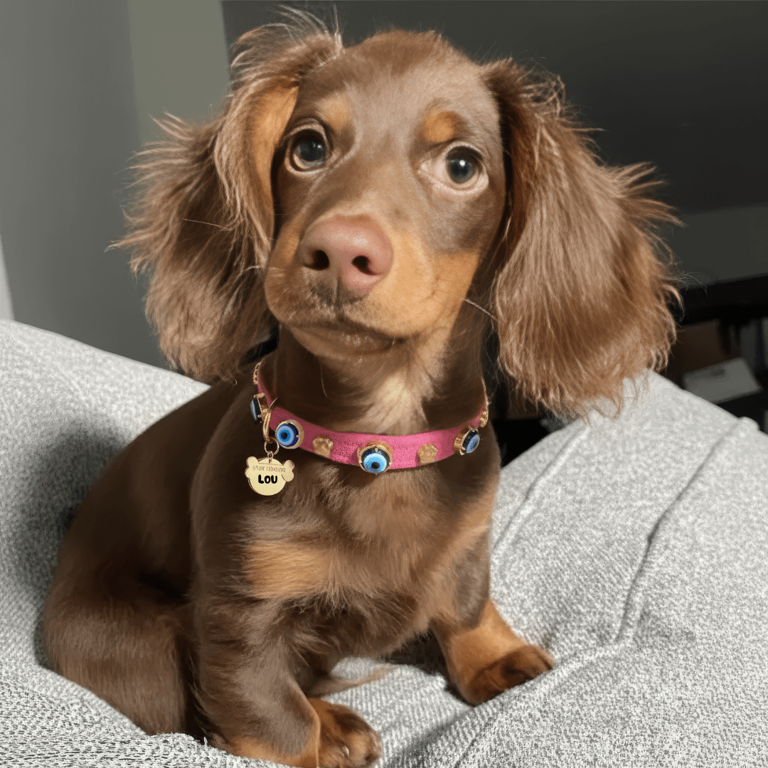 Suede Evil Eye Dog Collar | Hot Pink 💘 - PAW LONDON