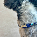 Suede Evil Eye Dog Collar | Royal Blue 💘 - PAW LONDON