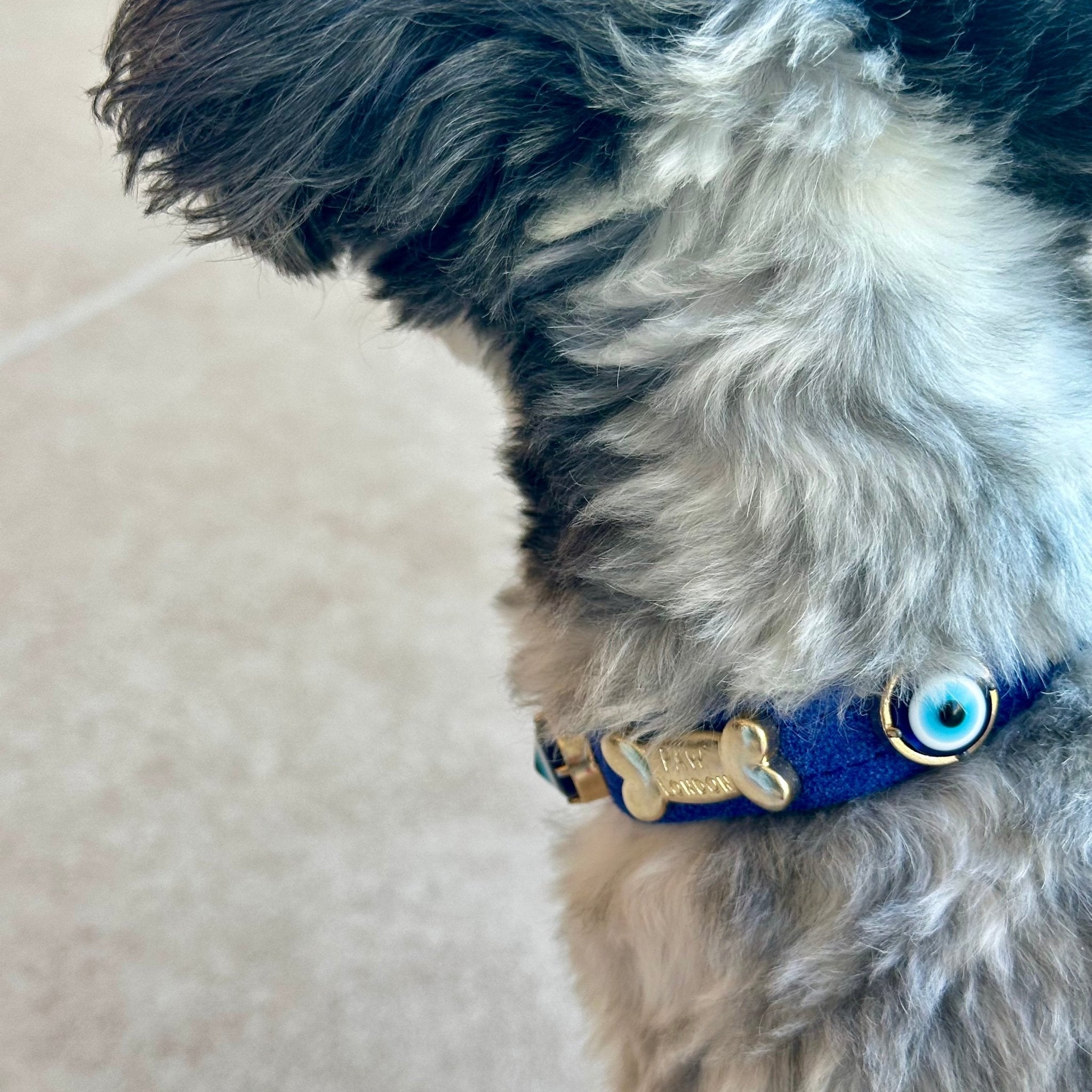 Suede Evil Eye Dog Collar | Royal Blue 💘 - PAW LONDON