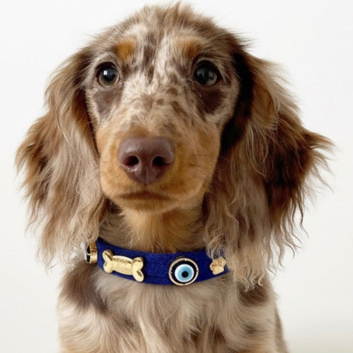 Suede Evil Eye Dog Collar | Royal Blue 💘 - PAW LONDON