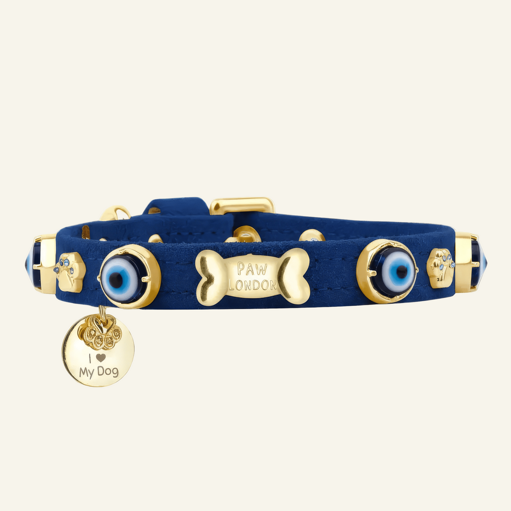 Suede Evil Eye Dog Collar | Royal Blue 💘 - PAW LONDON