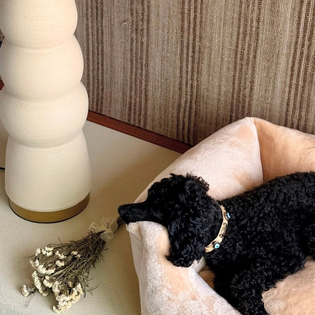 Suede Evil Eye Dog Collar | Sand Beige ⚜️ - PAW LONDON