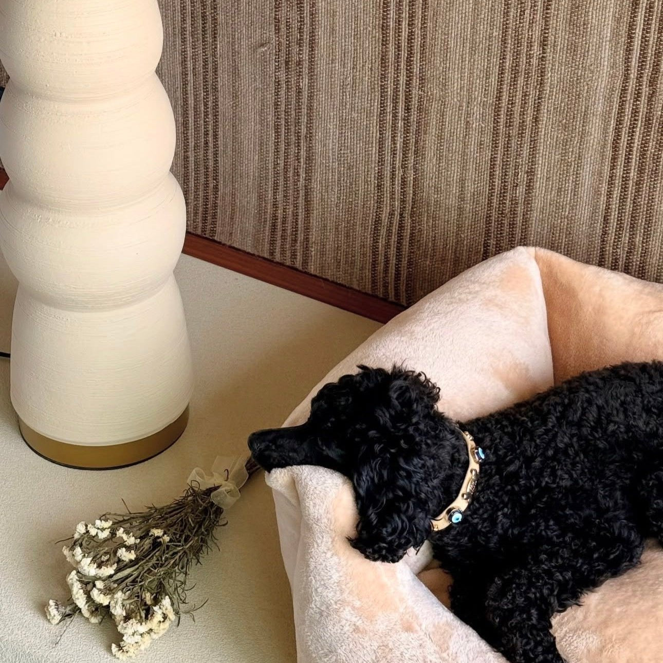 Suede Evil Eye Dog Collar | Sand Beige ⚜️ - PAW LONDON