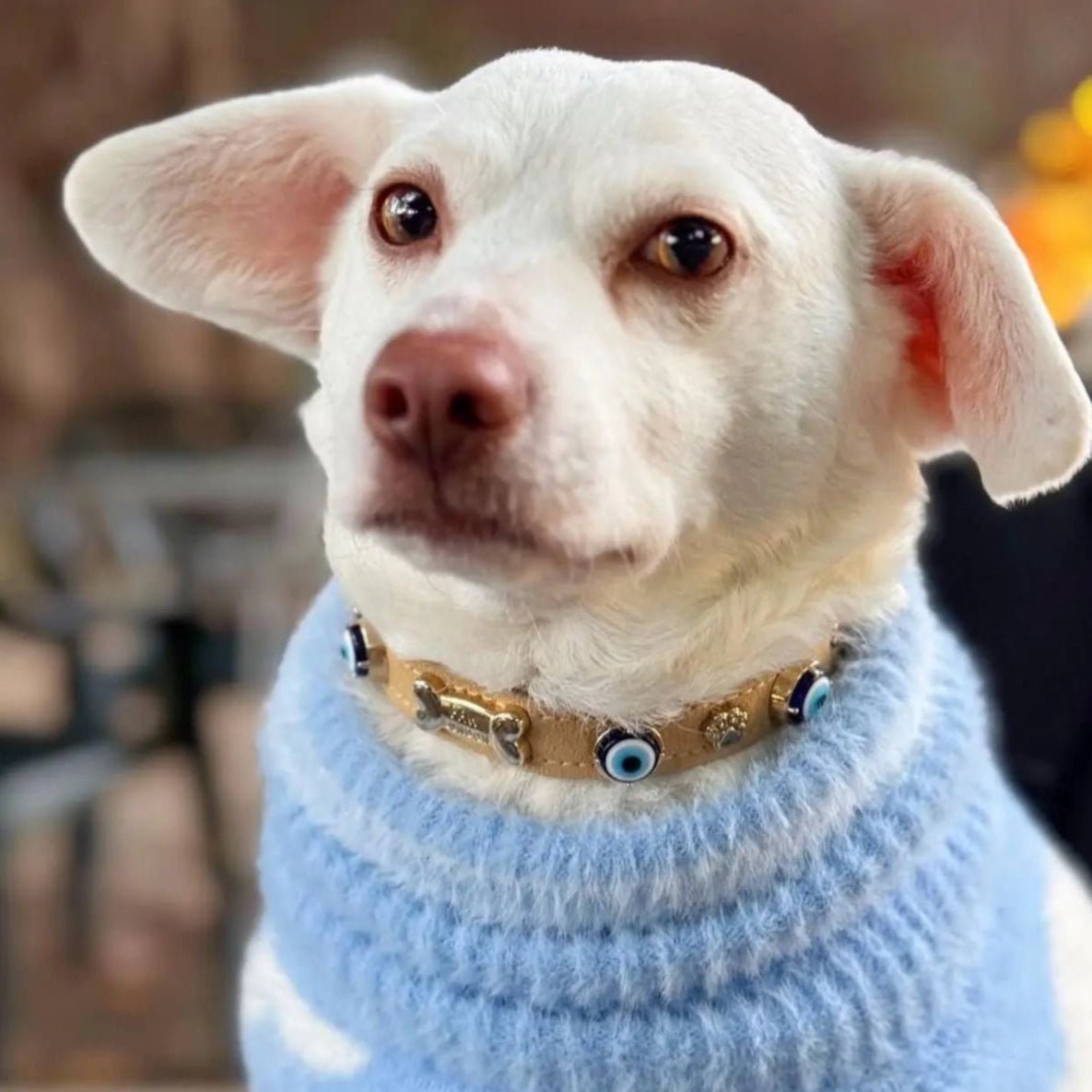 Suede Evil Eye Dog Collar | Sand Beige ⚜️ - PAW LONDON