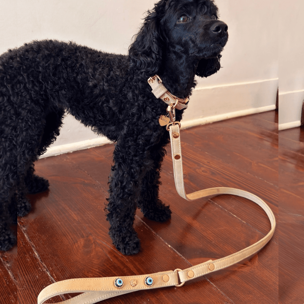 Suede Evil Eye Dog Collar | Sand Beige ⚜️ - PAW LONDON