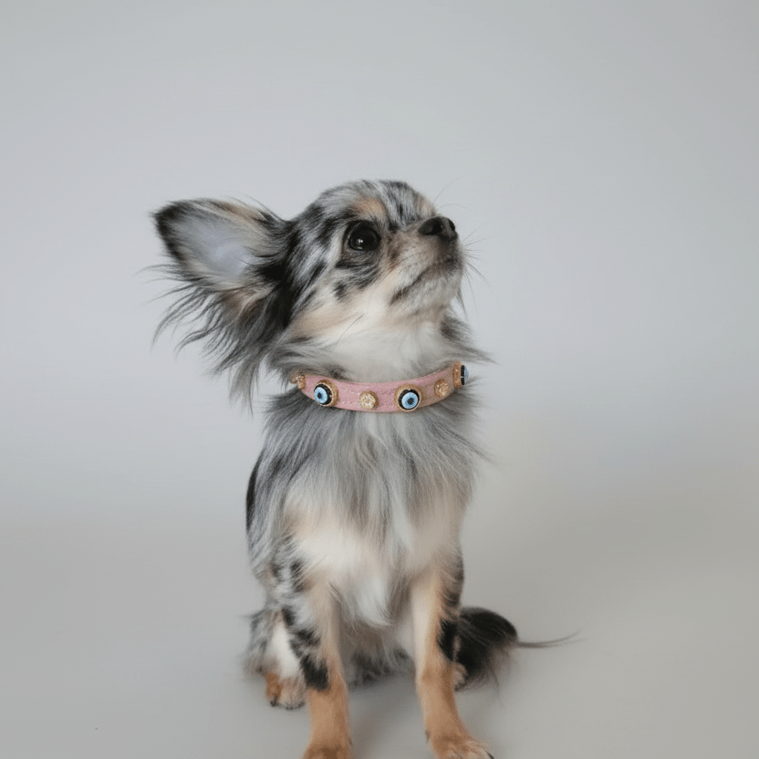 Suede Evil Eye Dog Collar | Sugar Pink 🦄 - PAW LONDON