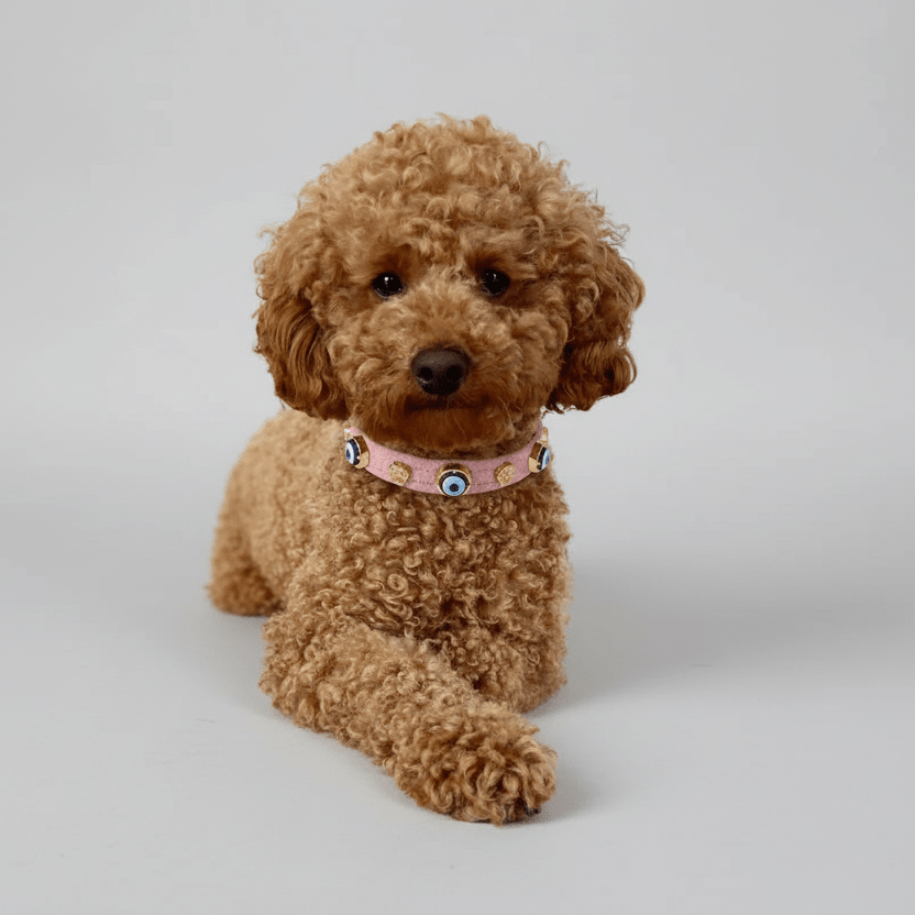Suede Evil Eye Dog Collar | Sugar Pink 🦄 - PAW LONDON