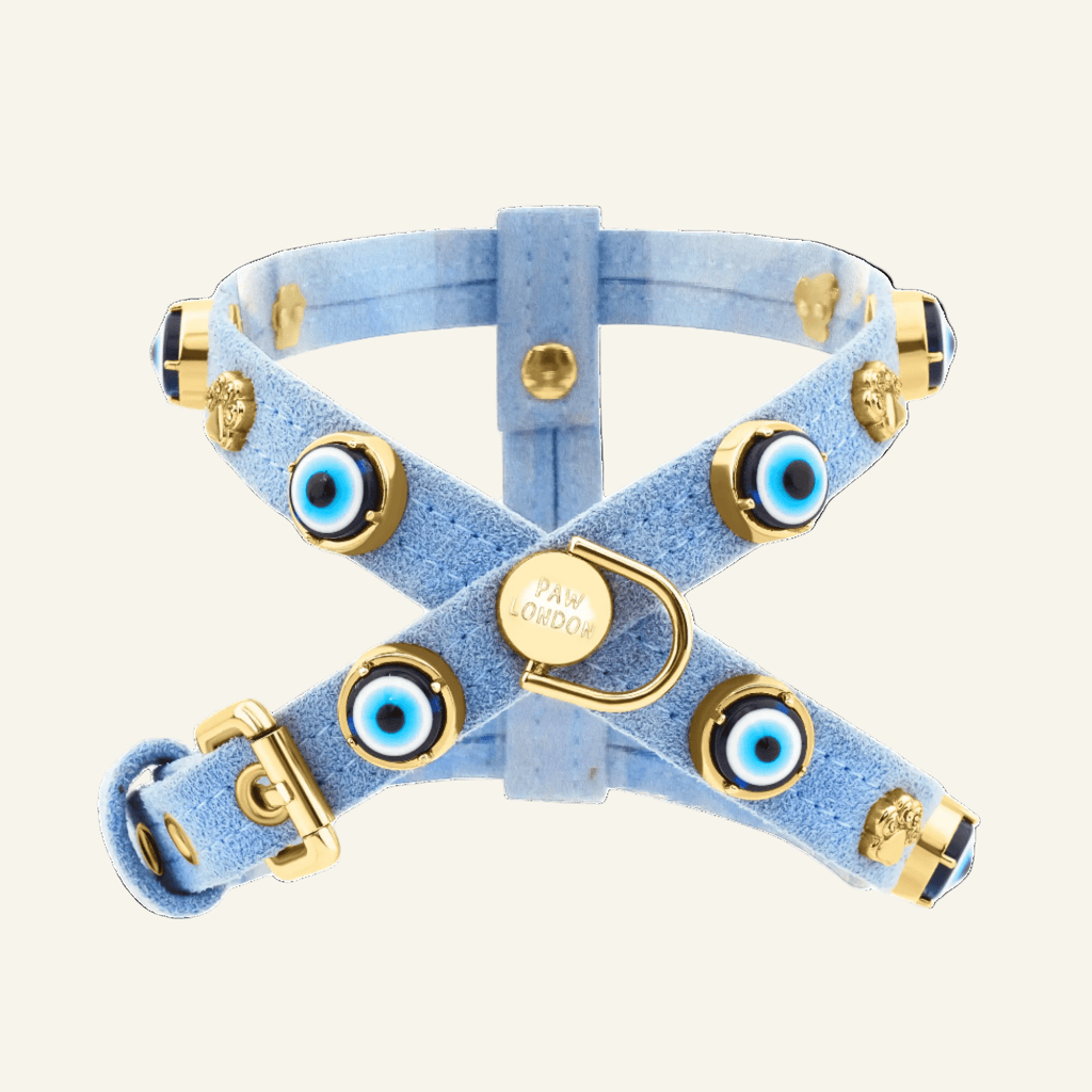 Suede Evil Eye Dog Harness | Azure Blue ⚜️ - PAW LONDON