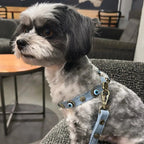 Suede Evil Eye Dog Harness | Azure Blue ⚜️ - PAW LONDON