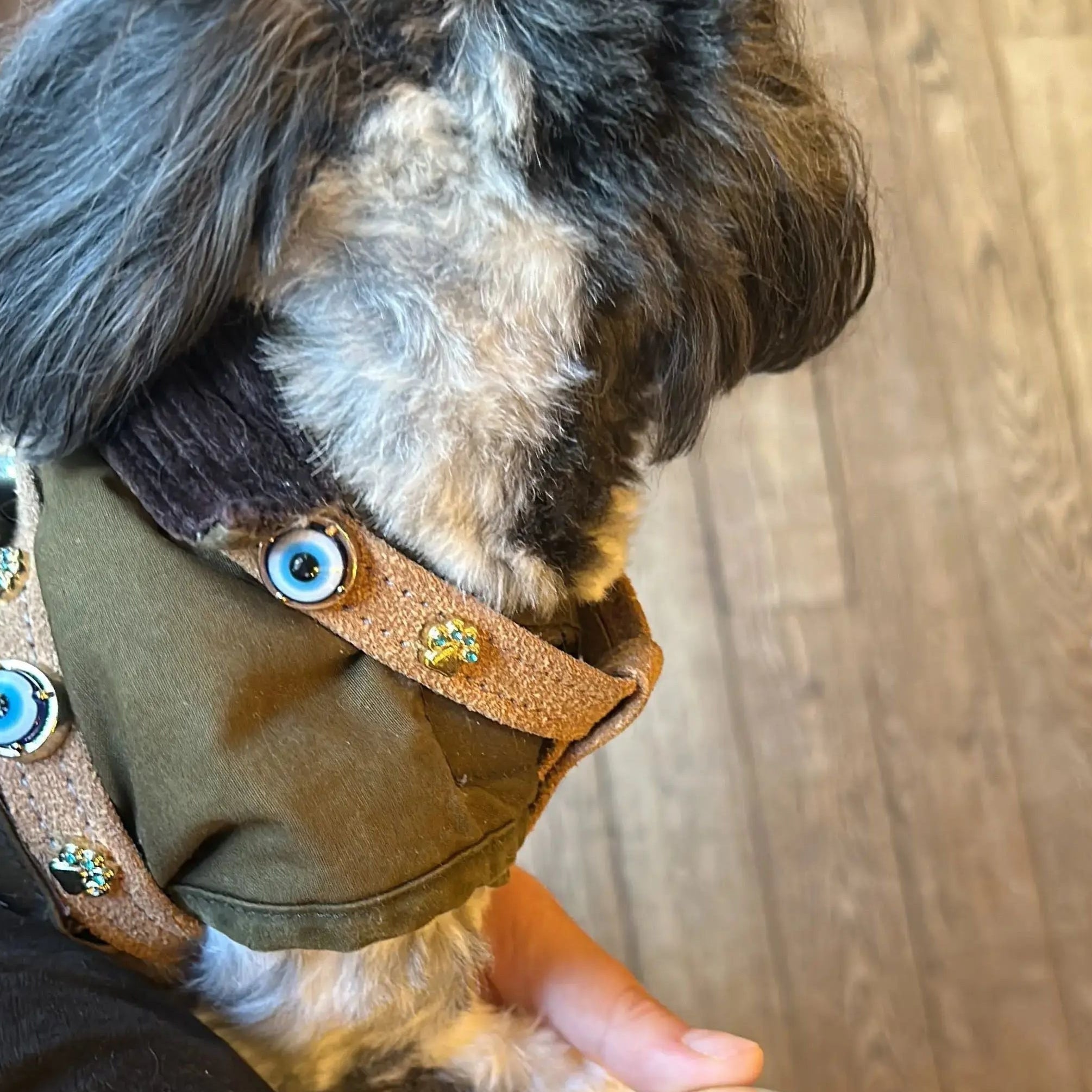 Suede Evil Eye Dog Harness | Cinnamon 🧿 - PAW LONDON