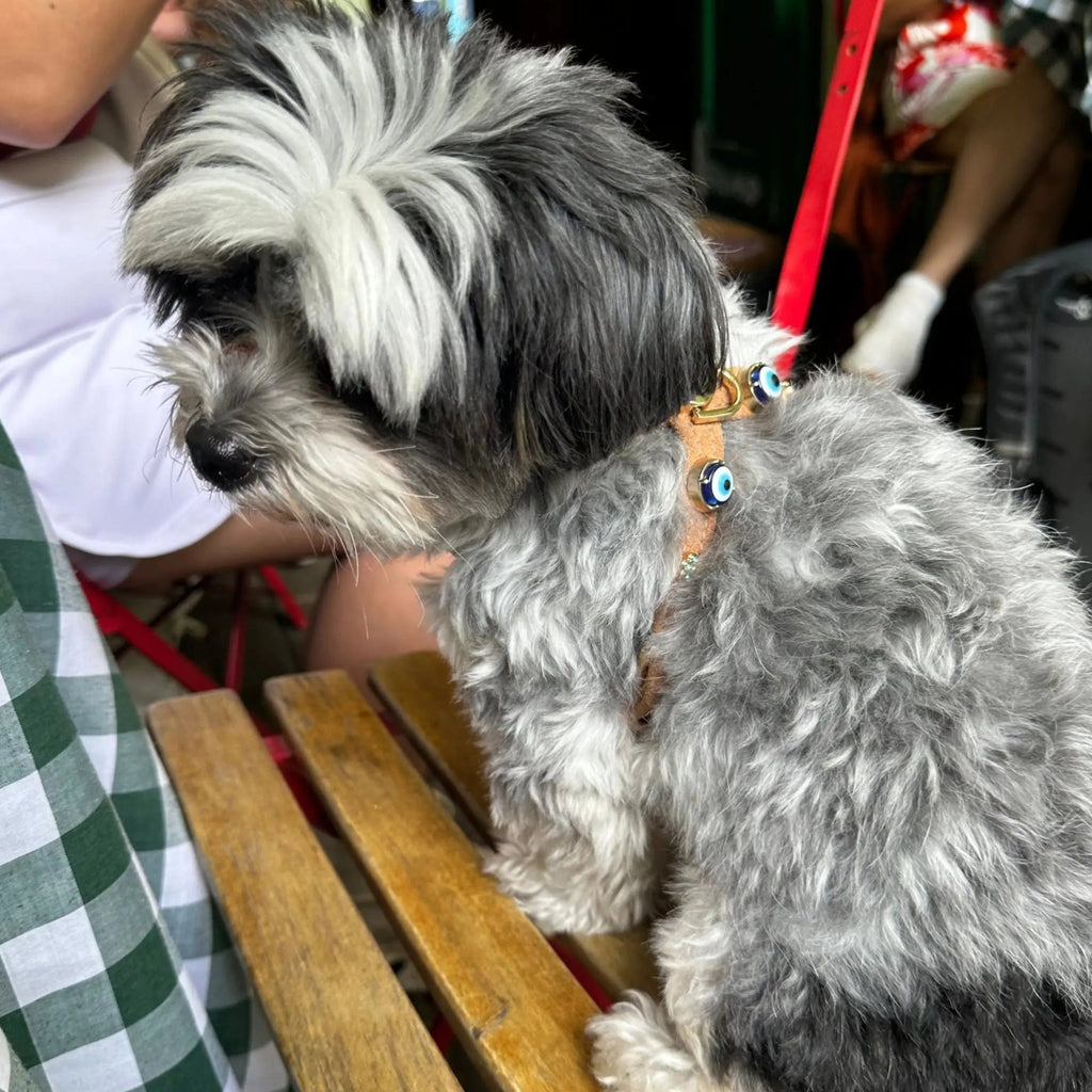 Suede Evil Eye Dog Harness | Cinnamon 🧿 - PAW LONDON