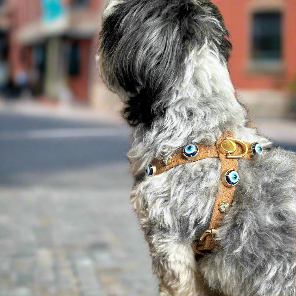 Suede Evil Eye Dog Harness | Cinnamon 🧿 - PAW LONDON