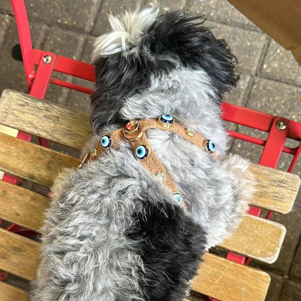 Suede Evil Eye Dog Harness | Cinnamon 🧿 - PAW LONDON