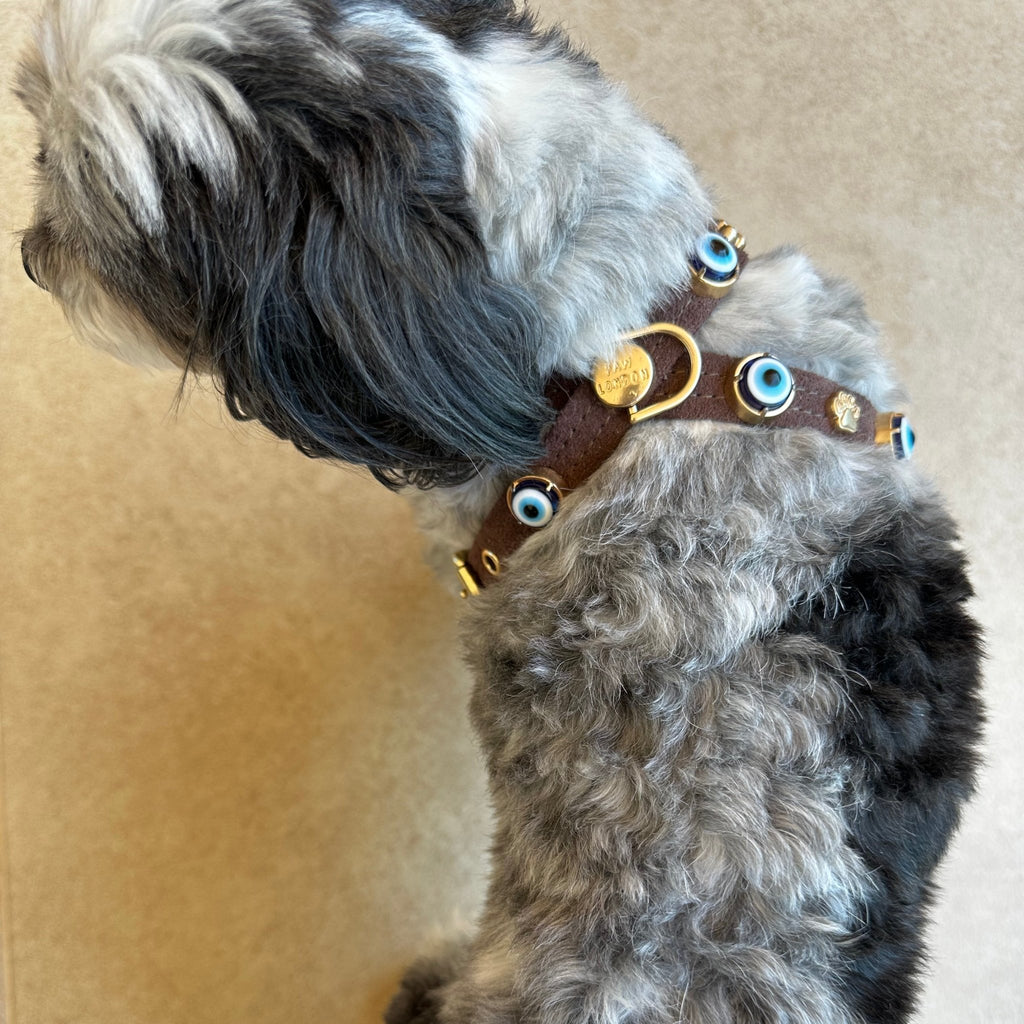 Suede Evil Eye Dog Harness | Dark Chocolate 🧿 - PAW LONDON