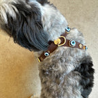 Suede Evil Eye Dog Harness | Dark Chocolate 🧿 - PAW LONDON