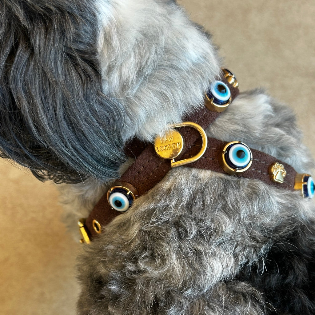 Suede Evil Eye Dog Harness | Dark Chocolate 🧿 - PAW LONDON