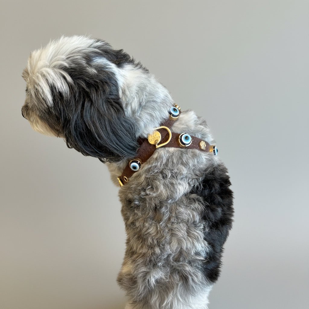 Suede Evil Eye Dog Harness | Dark Chocolate 🧿 - PAW LONDON