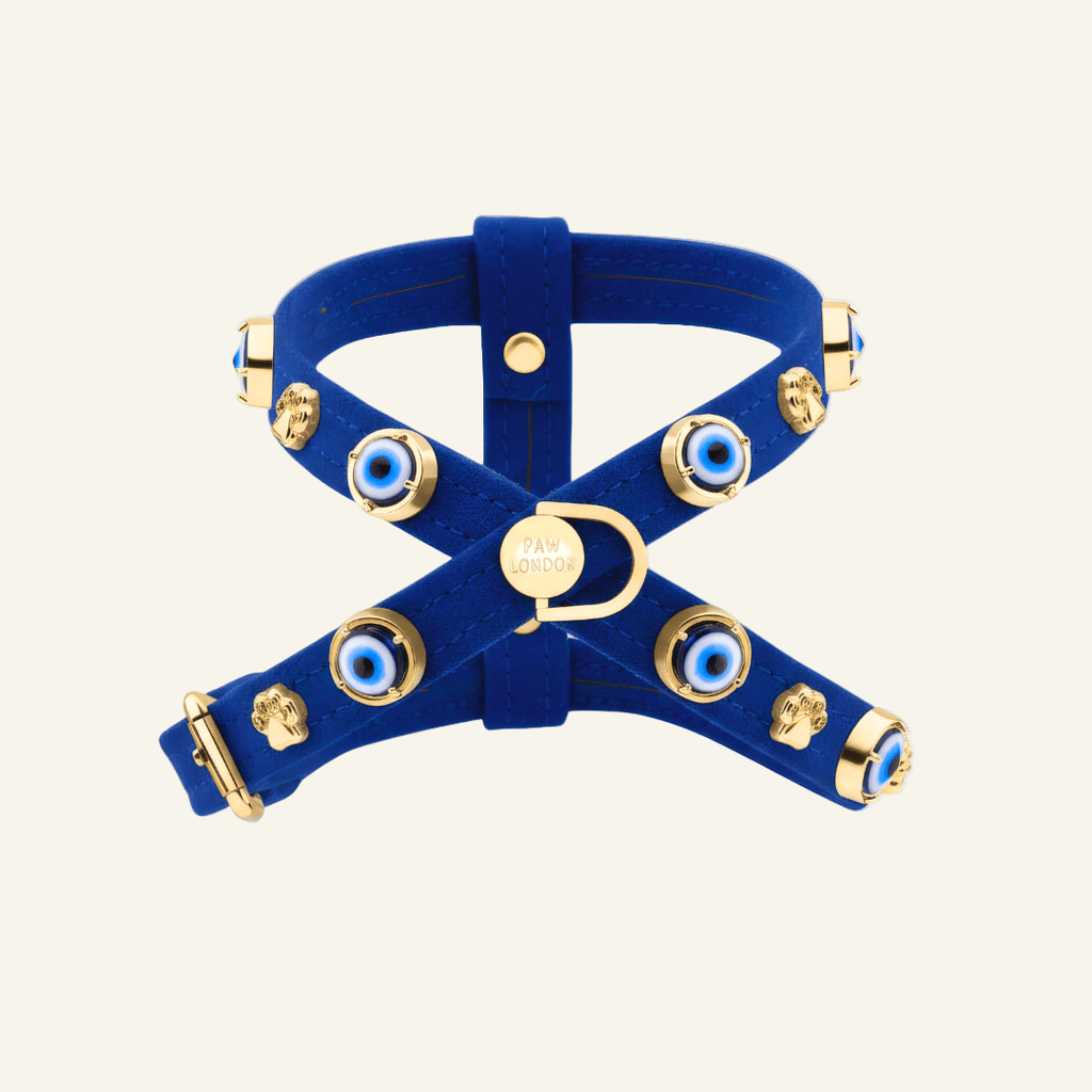 Suede Evil Eye Dog Harness | Royal Blue 🧿 - PAW LONDON