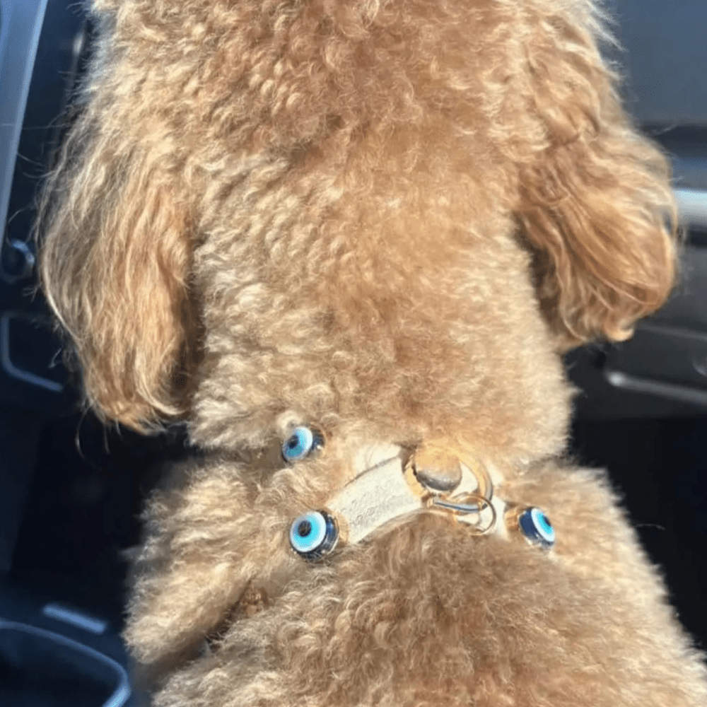 Suede Evil Eye Dog Harness | Sand Beige ⚜️ - PAW LONDON