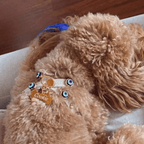 Suede Evil Eye Dog Harness | Sand Beige ⚜️ - PAW LONDON