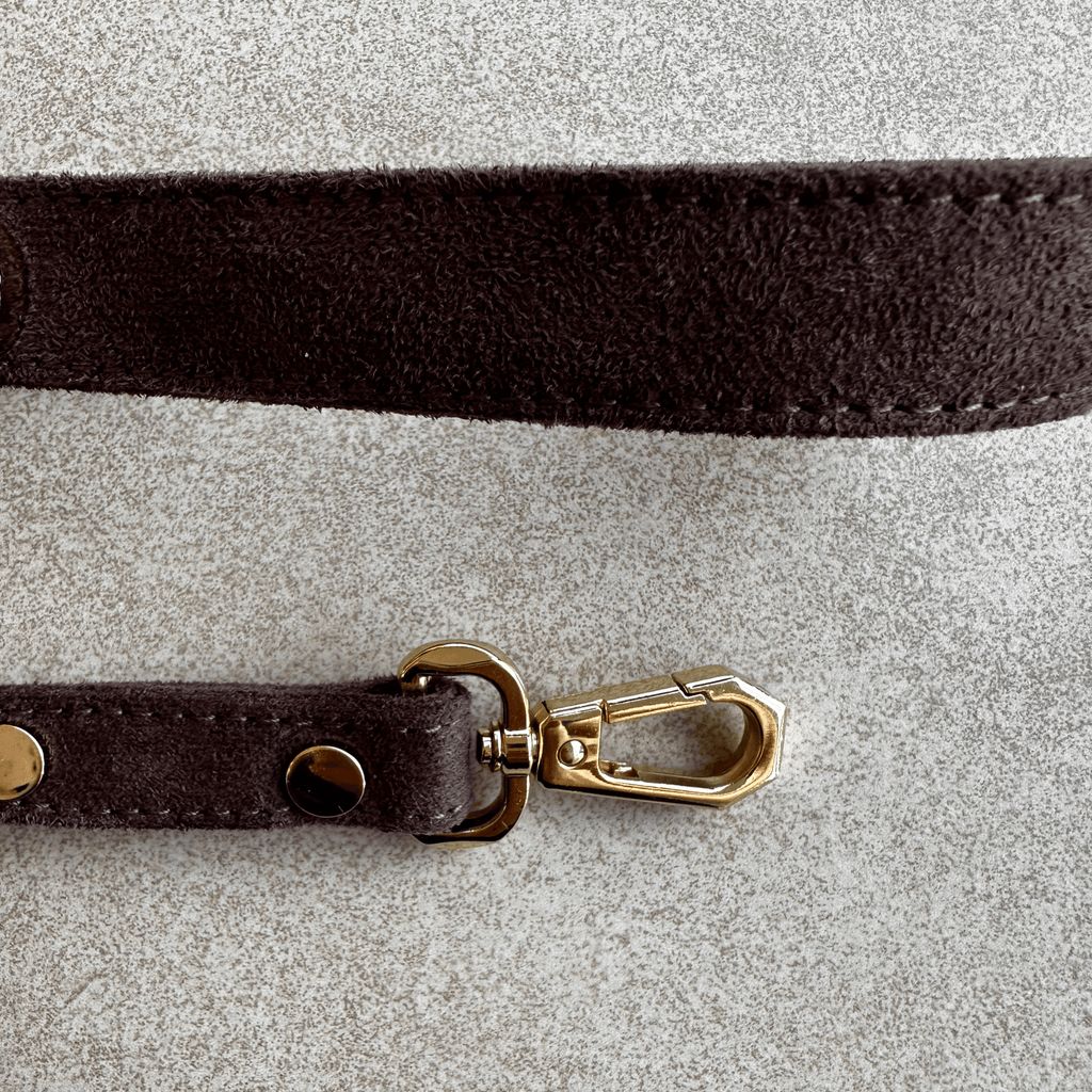 Suede Evil Eye Dog Lead | Bitter 🧿 - PAW LONDON