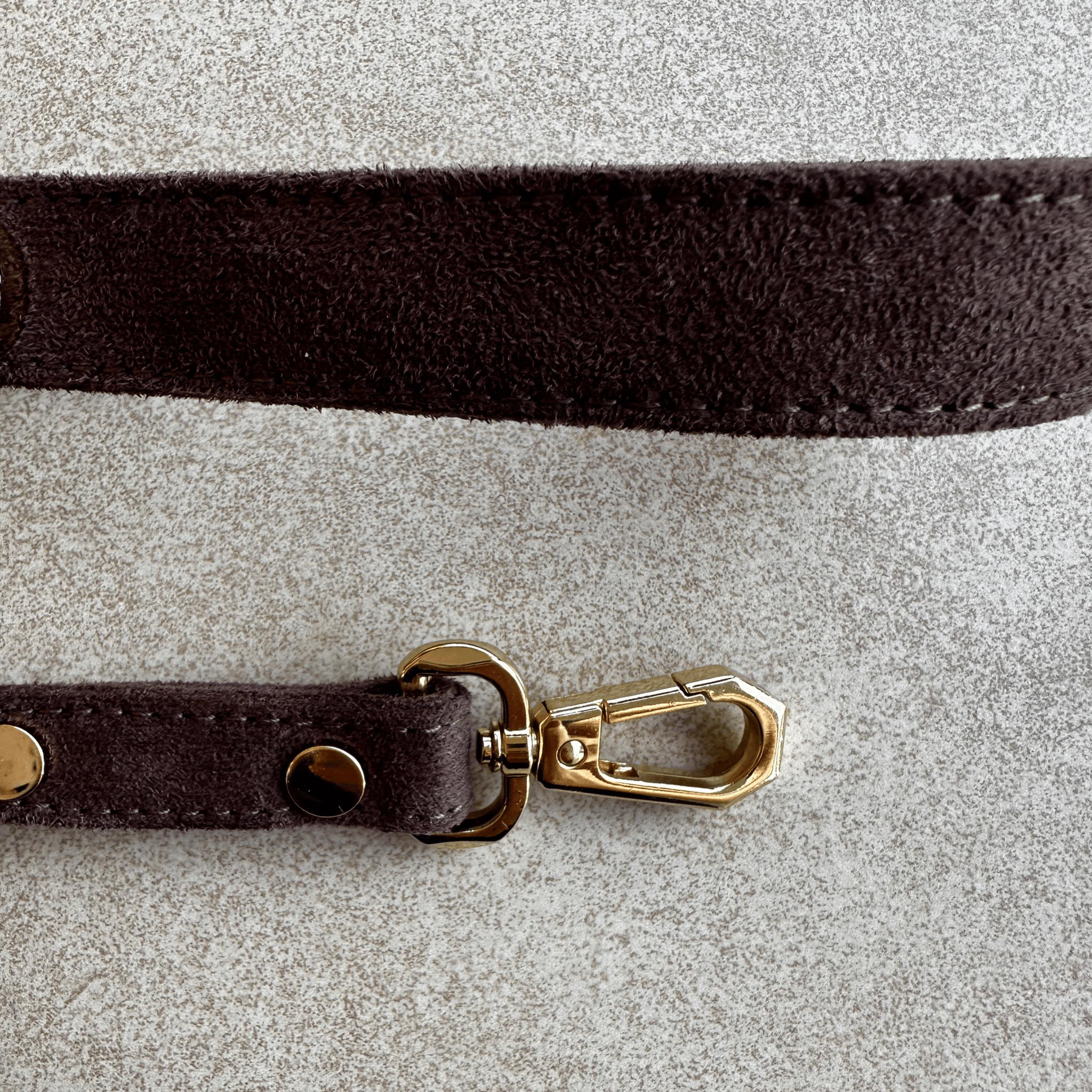 Suede Evil Eye Dog Lead | Bitter 🧿 - PAW LONDON