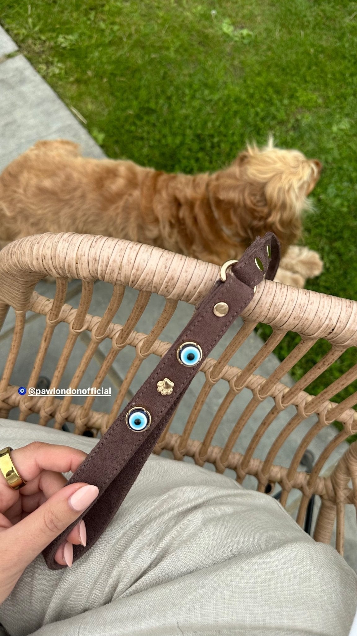 Suede Evil Eye Dog Lead | Bitter 🧿 - PAW LONDON