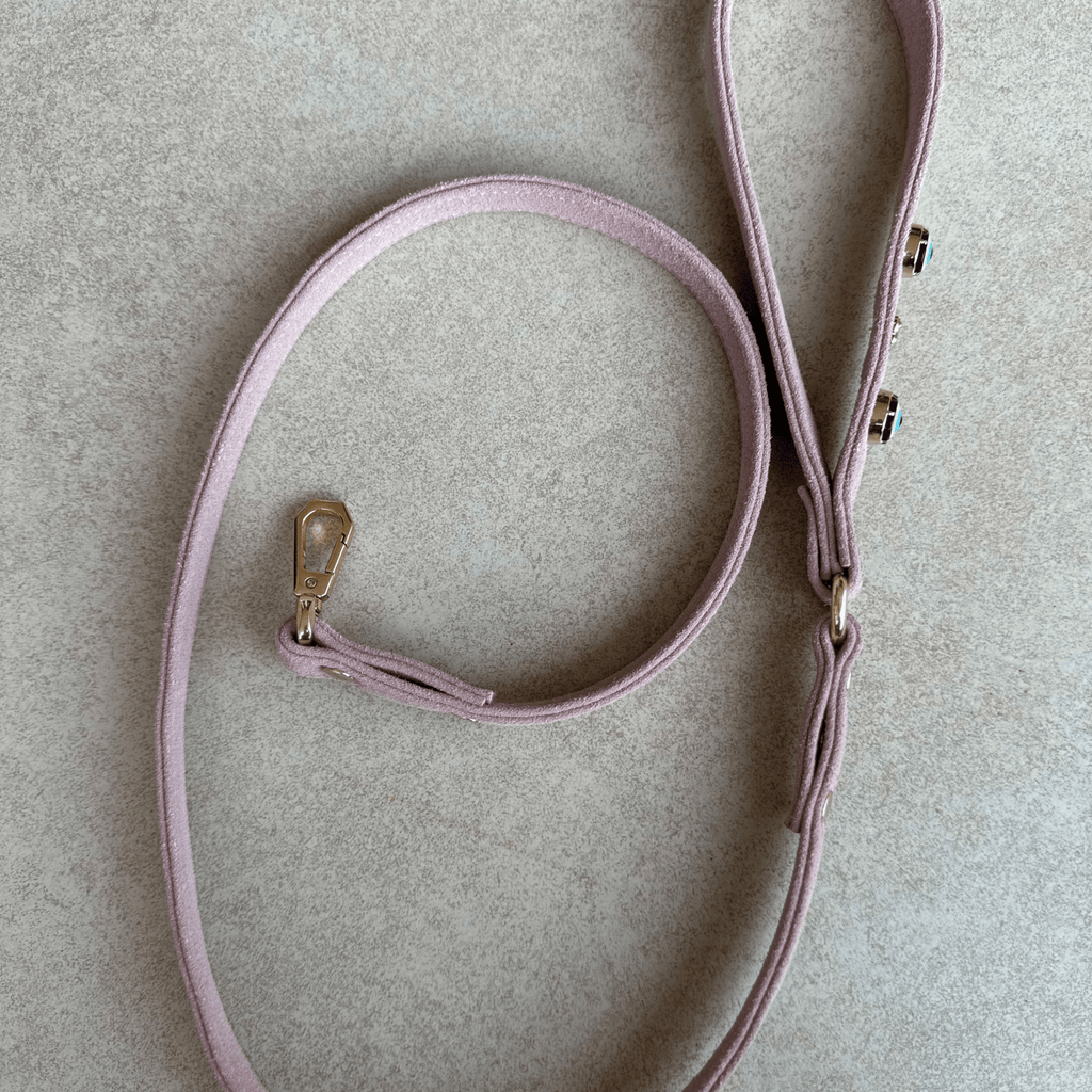 Suede Evil Eye Dog Lead | Pink 🧿 - PAW LONDON