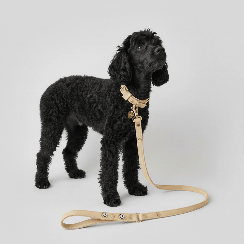 Suede Evil Eye Dog Lead | Sand Beige ⚜️ - PAW LONDON