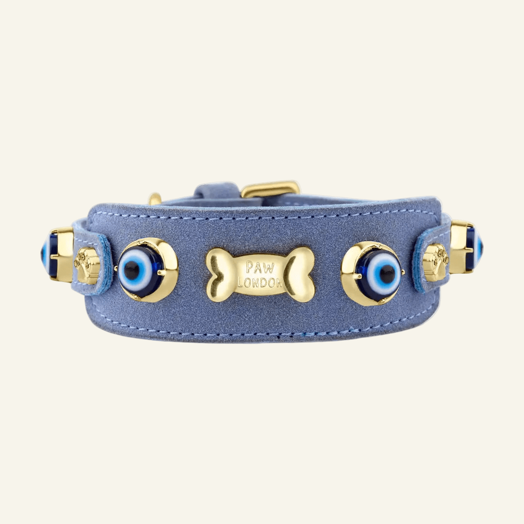 Suede Evil Eye Greyhounds Dog Collar | Baby Blue ⚜️ - PAW LONDON