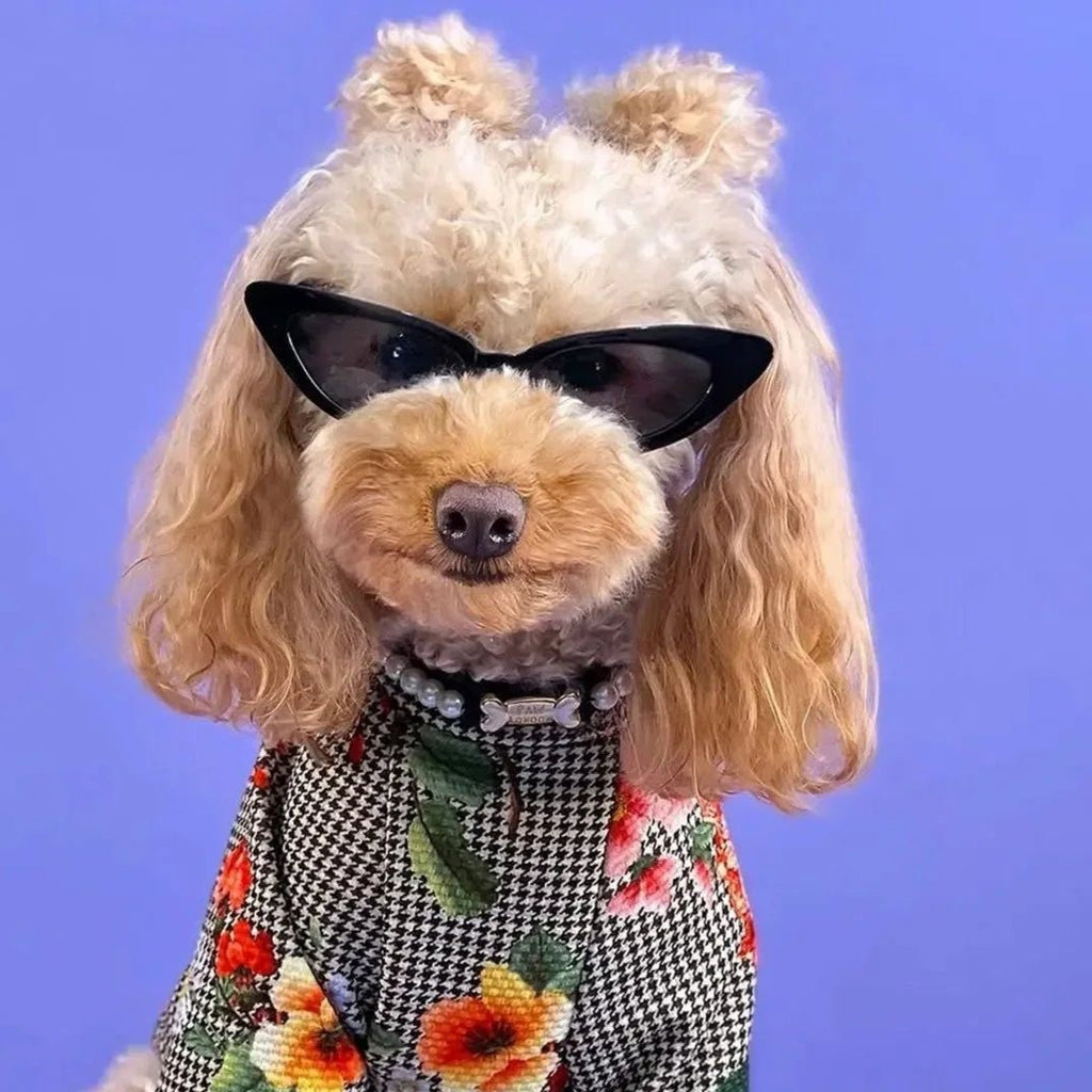 Tahiti Pearl Dog Collar Black 🖤 - PAW LONDON