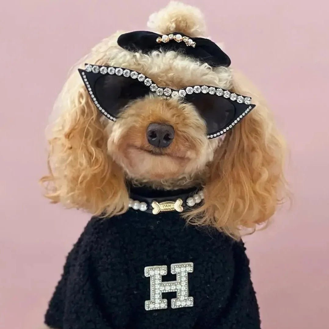 Tahiti Pearl Dog Collar Black 🖤 - PAW LONDON