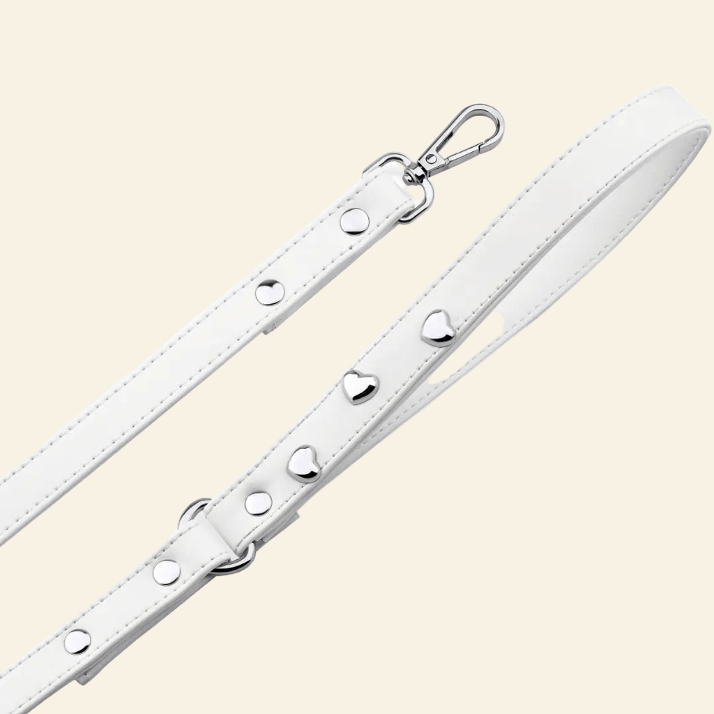 White love+rock Dog Lead 🐩 - PAW LONDON