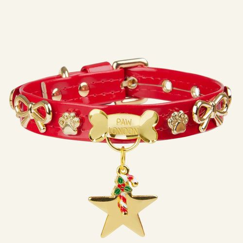 Bow Bone Dog Collar | Red ❤️‍🔥 - PAW LONDON