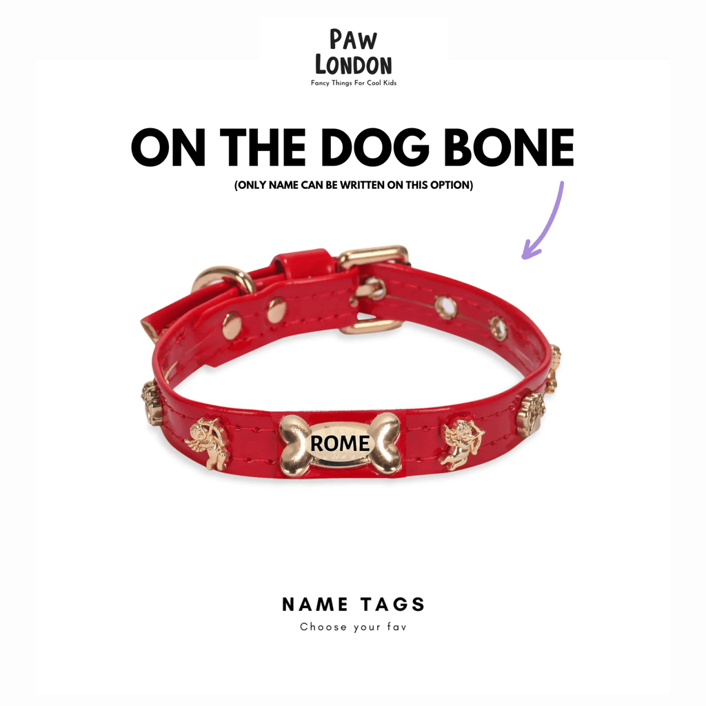 Cupid Gold Dog Collar 🏹 | RED - PAW LONDON