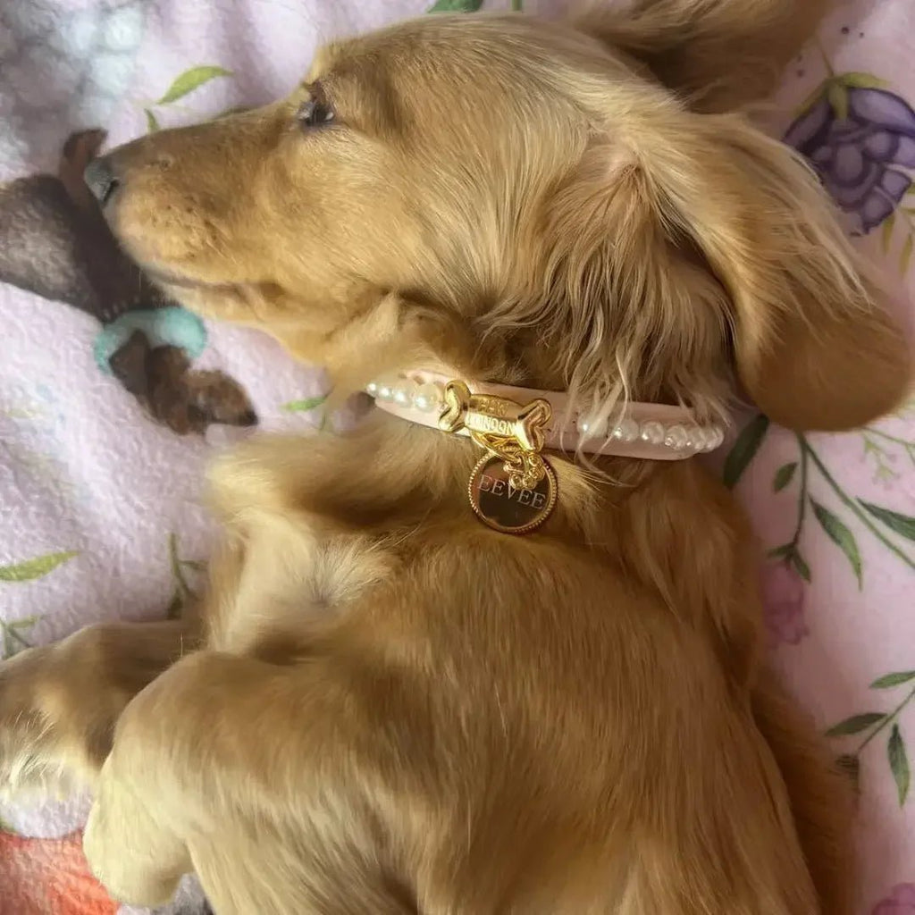 Diana Pearl Dog Collar Soft Pink 💘 - PAW LONDON