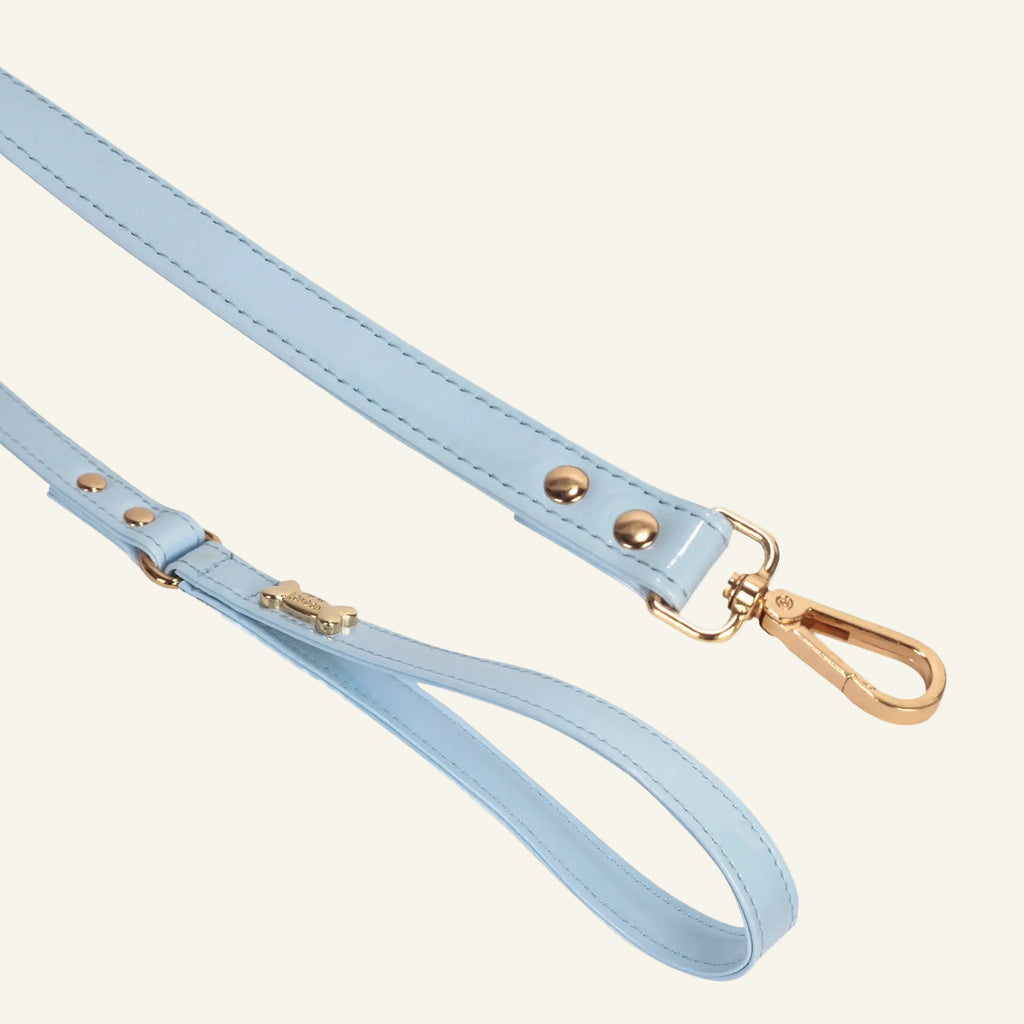 Dog Lead with Gold Plated Bone | Baby Blue 🐾 - PAW LONDON